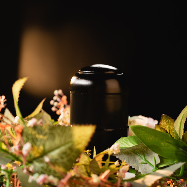 reeder-davis-cremation1