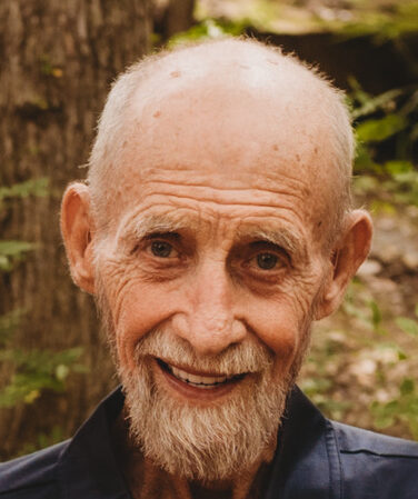 henry walls